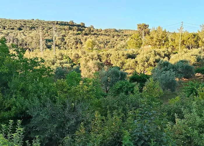 Kusadasi'nda Oezel Havuzlu Kiralik Bueyuek *