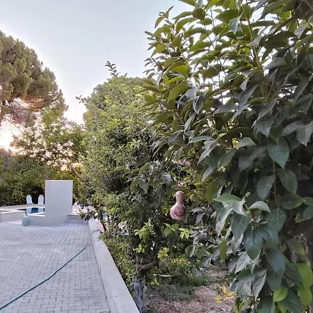 Kusadasi'nda Oezel Havuzlu Kiralik Bueyuek Villa *
