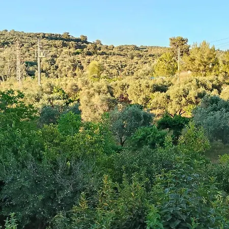 Kusadasi'nda Oezel Havuzlu Kiralik Bueyuek *