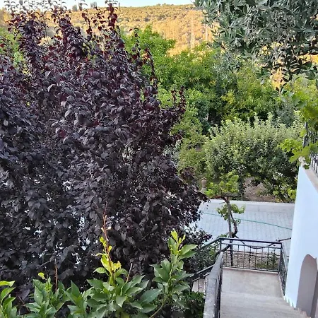 Kusadasi'nda Oezel Havuzlu Kiralik Bueyuek クシャダス