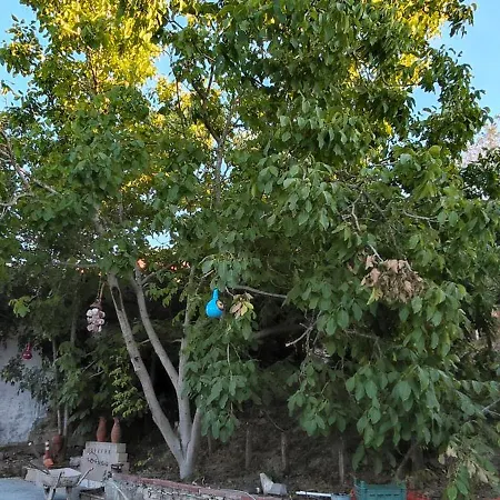 Villa Kusadasi'nda Oezel Havuzlu Kiralik Bueyuek