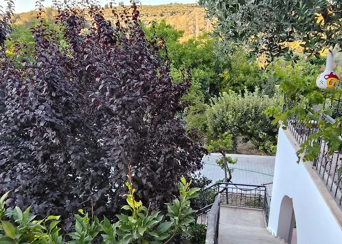 Kuşadası'nda özel Havuzlu Kiralık Büyük Kusadasi