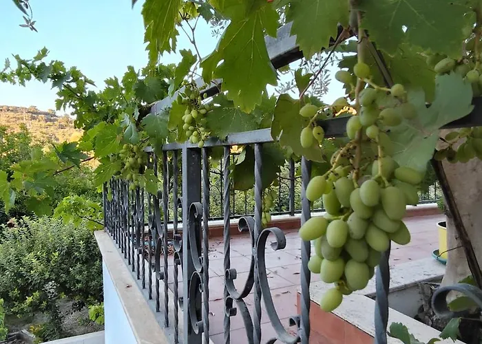 Kuşadası'nda özel Havuzlu Kiralık Büyük