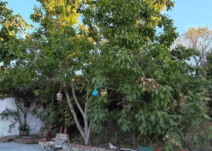 Villa Kuşadası'nda özel Havuzlu Kiralık Büyük