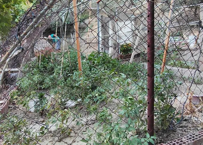 Kuşadası'nda özel Havuzlu Kiralık Büyük Villa Kusadasi