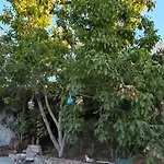 Villa Kusadasi'nda Oezel Havuzlu Kiralik Bueyuek